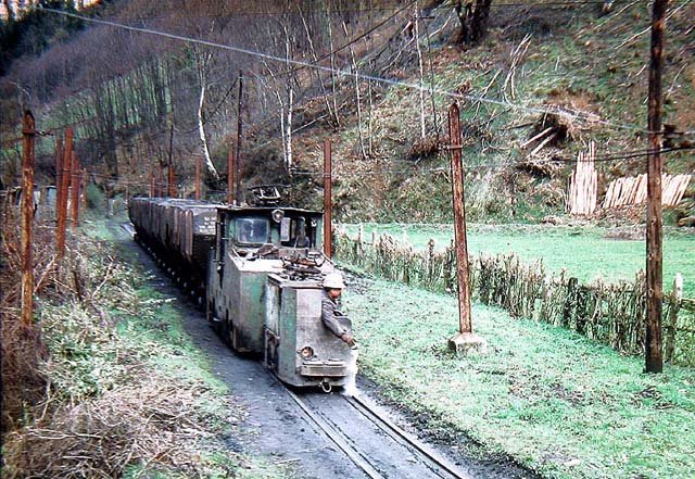 Cerezal.jpg (139.46 KiB) Visto 14739 veces Cerezal.jpg